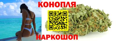 винт Донецк