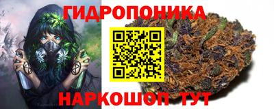 винт Донецк