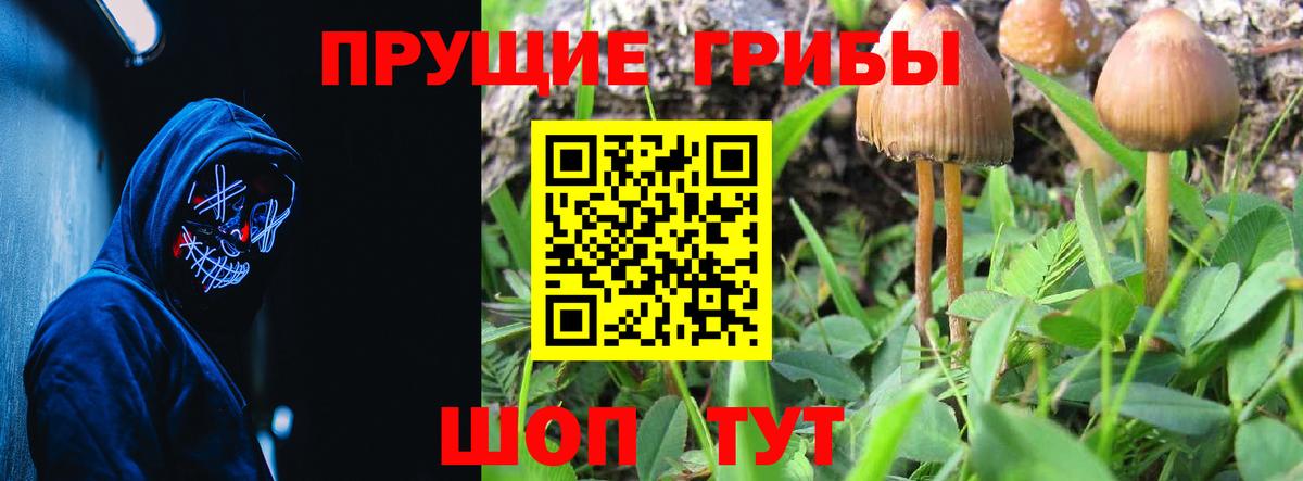 Мелеуз  Псилоцибиновые грибы Psilocybine cubensis  Вход с VPN  Галлюциногенные грибы прущие грибы 
